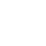 Employment Visa